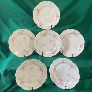 6 salad plates - Haviland Limoges Pink carnations.